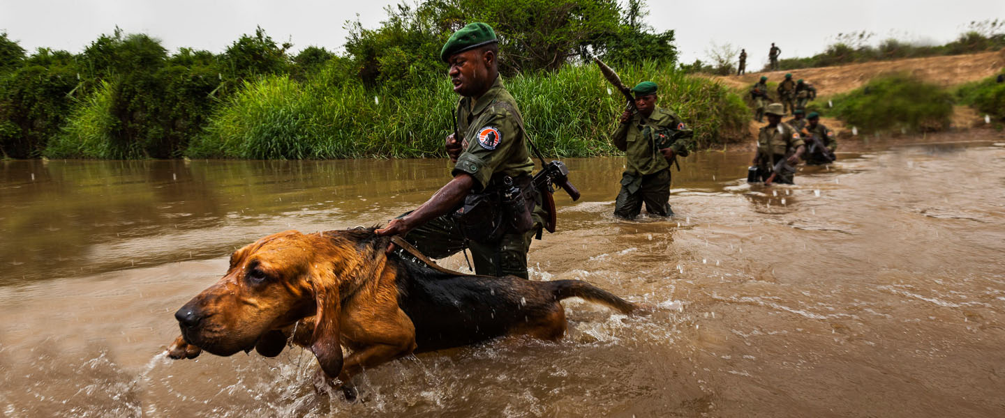 Congo Hounds Patrol in Virunga